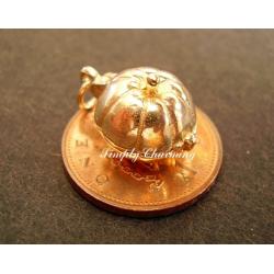 Pumpkin Opening 9ct Gold Charm