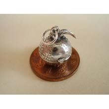 Sterling Silver Charms - Apple Opening to Grub charm