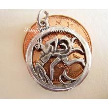 Aquarius Zodiac Sterling Silver Charms or Pendant