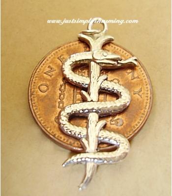 Rod Of Asclepius Medical Sterling Silver Charm / Pendant