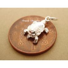 Tortoise Sterling Silver Charm