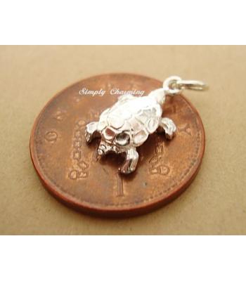 Tortoise Sterling Silver Charm