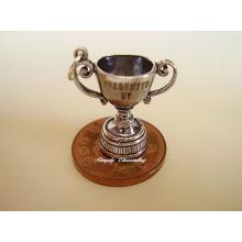 Trophy Sterling Silver Charm